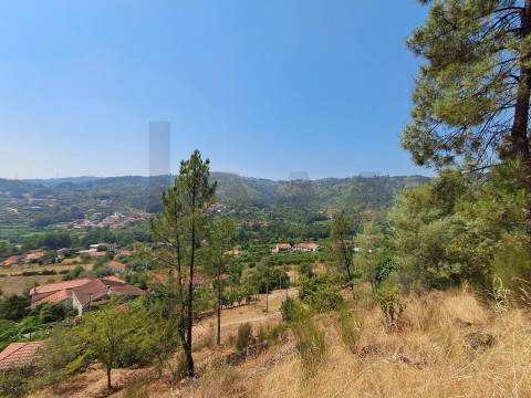 Terreno em Aboadela com capacidade construtiva