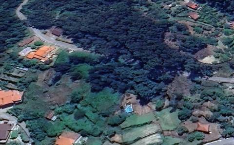 Terreno em Aboadela com capacidade construtiva