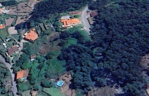 Terreno em Aboadela com capacidade construtiva