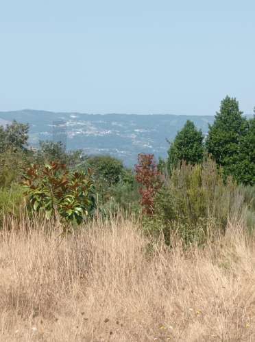 Excelente Oportunidade de Investimento - Fornelos, Cinfães -