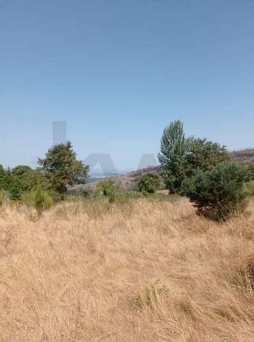 Excelente Oportunidade de Investimento - Fornelos, Cinfães -