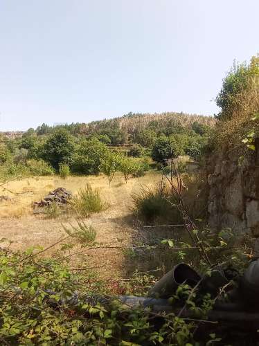 Excelente Oportunidade de Investimento - Fornelos, Cinfães -