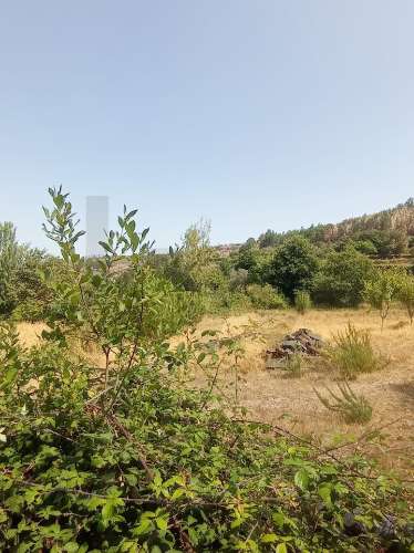 Excelente Oportunidade de Investimento - Fornelos, Cinfães -