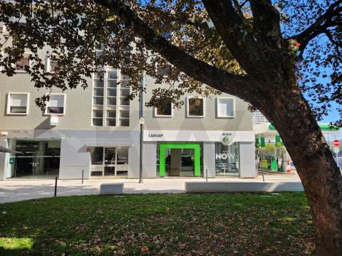 Óptimo T4 renovado Pinheiro Manso, Av da Boavista