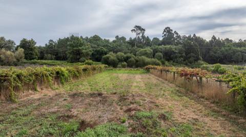 Moradia T2 em Riba de Âncora - Caminha