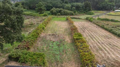 Moradia T2 em Riba de Âncora - Caminha