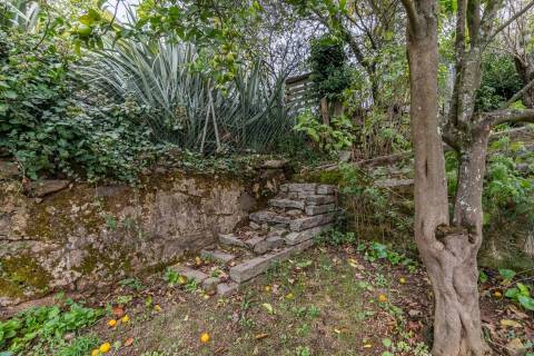 Moradia T3 com Terreno de 1.300 m2 em Grijó