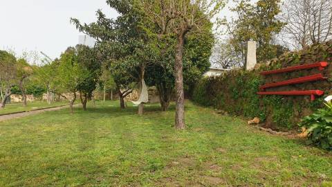 Moradia T3 com Terreno de 1.300 m2 em Grijó