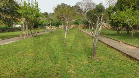 Moradia T3 com Terreno de 1.300 m2 em Grijó