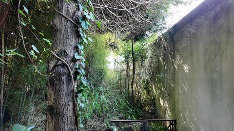 Terreno Exclusivo 418,50 m2 na Avenida do Parque | Frente Parque da Cidade, Aldoar