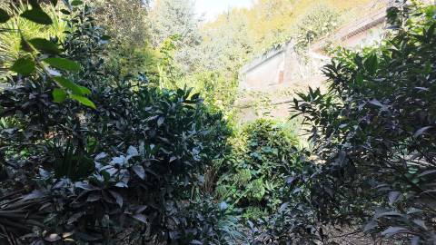 Terreno Exclusivo 418,50 m2 na Avenida do Parque | Frente Parque da Cidade, Aldoar