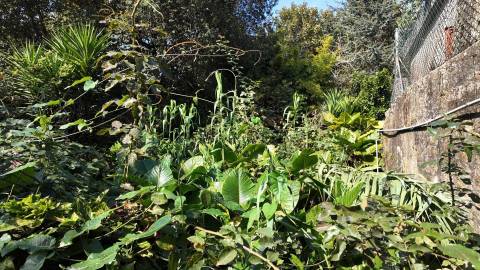 Terreno Exclusivo 418,50 m2 na Avenida do Parque | Frente Parque da Cidade, Aldoar