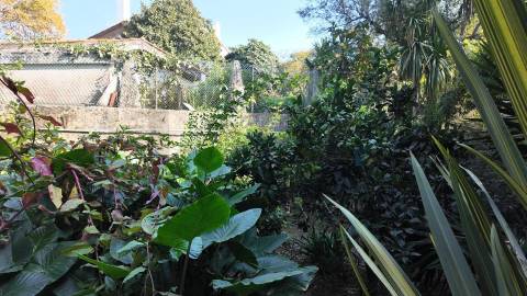 Terreno Exclusivo 418,50 m2 na Avenida do Parque | Frente Parque da Cidade, Aldoar