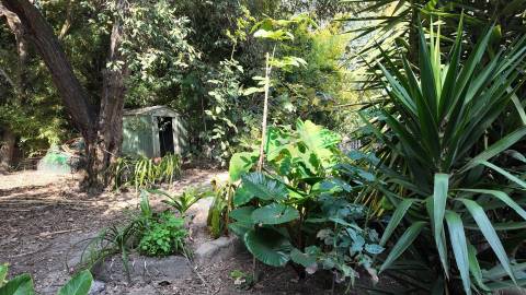 Terreno Exclusivo 418,50 m2 na Avenida do Parque | Frente Parque da Cidade, Aldoar