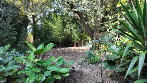 Terreno Exclusivo 418,50 m2 na Avenida do Parque | Frente Parque da Cidade, Aldoar