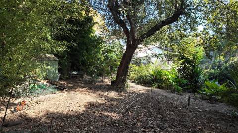 Terreno Exclusivo 418,50 m2 na Avenida do Parque | Frente Parque da Cidade, Aldoar