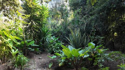 Terreno Exclusivo 418,50 m2 na Avenida do Parque | Frente Parque da Cidade, Aldoar