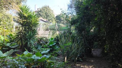 Terreno Exclusivo 418,50 m2 na Avenida do Parque | Frente Parque da Cidade, Aldoar