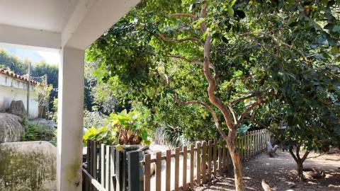 Terreno Exclusivo 418,50 m2 na Avenida do Parque | Frente Parque da Cidade, Aldoar