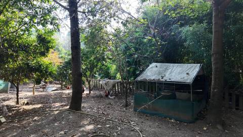 Terreno Exclusivo 418,50 m2 na Avenida do Parque | Frente Parque da Cidade, Aldoar