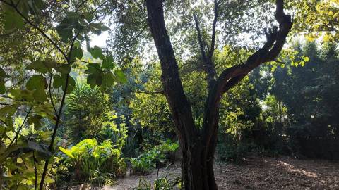 Terreno Exclusivo 418,50 m2 na Avenida do Parque | Frente Parque da Cidade, Aldoar