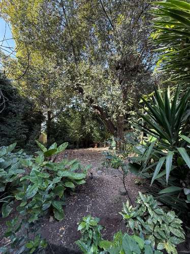 Terreno Exclusivo 418,50 m2 na Avenida do Parque | Frente Parque da Cidade, Aldoar