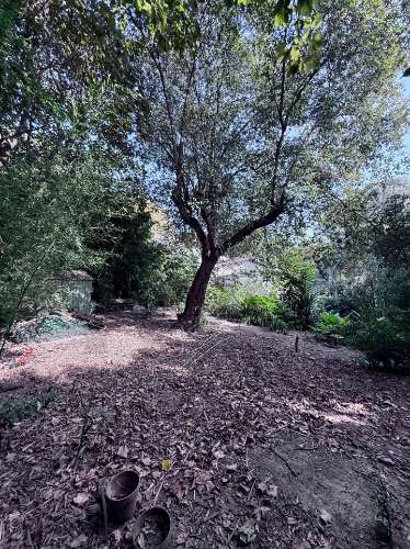 Terreno Exclusivo 418,50 m2 na Avenida do Parque | Frente Parque da Cidade, Aldoar