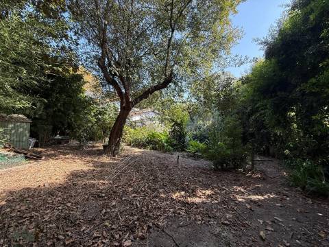 Terreno Exclusivo 418,50 m2 na Avenida do Parque | Frente Parque da Cidade, Aldoar