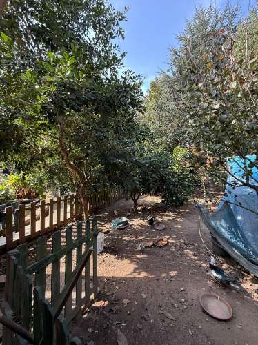 Terreno Exclusivo 418,50 m2 na Avenida do Parque | Frente Parque da Cidade, Aldoar