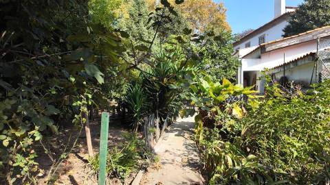 Terreno Exclusivo 418,50 m2 na Avenida do Parque | Frente Parque da Cidade, Aldoar