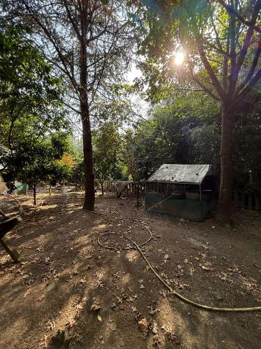 Terreno Exclusivo 418,50 m2 na Avenida do Parque | Frente Parque da Cidade, Aldoar