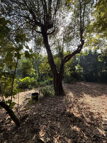 Terreno Exclusivo 418,50 m2 na Avenida do Parque | Frente Parque da Cidade, Aldoar