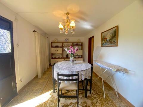 Quinta em Quintas da Torre – Rapoula, Fundão 