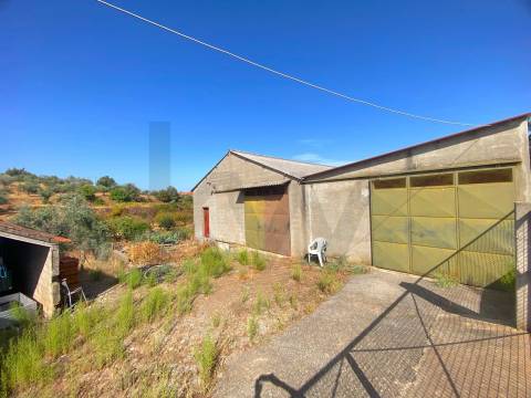 Quinta em Quintas da Torre – Rapoula, Fundão 