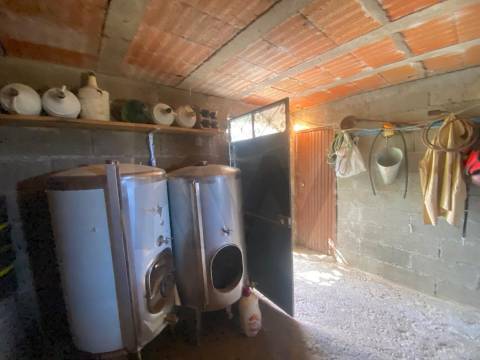 Quinta em Quintas da Torre – Rapoula, Fundão 