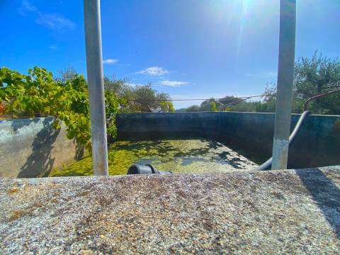 Quinta em Quintas da Torre – Rapoula, Fundão 