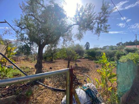 Quinta em Quintas da Torre – Rapoula, Fundão 