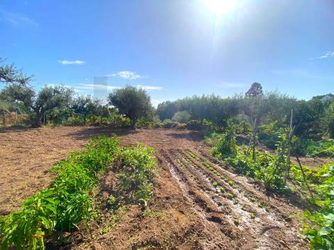 Quinta em Quintas da Torre – Rapoula, Fundão 
