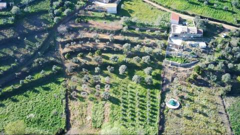 Quinta em Quintas da Torre – Rapoula, Fundão 