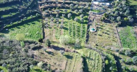 Quinta em Quintas da Torre – Rapoula, Fundão 