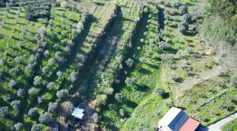 Quinta em Quintas da Torre – Rapoula, Fundão 