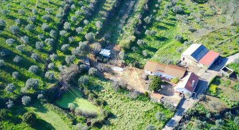 Quinta em Quintas da Torre – Rapoula, Fundão 