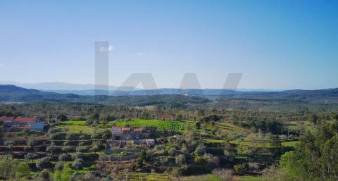 Quinta em Quintas da Torre – Rapoula, Fundão 