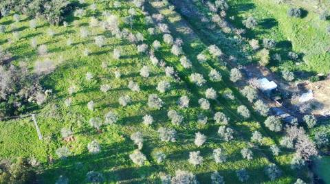 Quinta em Quintas da Torre – Rapoula, Fundão 