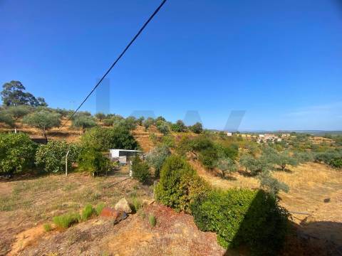 Quinta em Quintas da Torre – Rapoula, Fundão 