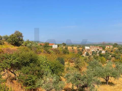 Quinta em Quintas da Torre – Rapoula, Fundão 