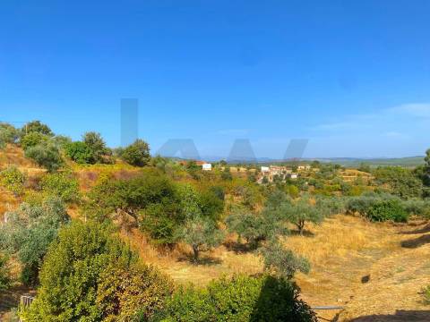 Quinta em Quintas da Torre – Rapoula, Fundão 