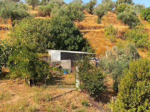 Quinta em Quintas da Torre – Rapoula, Fundão 