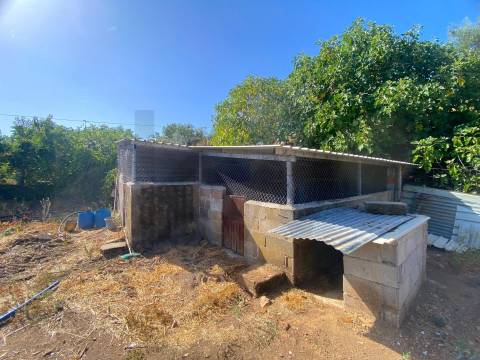 Quinta em Quintas da Torre – Rapoula, Fundão 