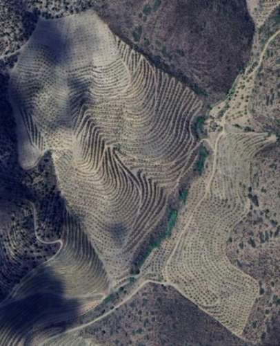 Propriedade / terreno rústico 22 Hectares com Amendoal em produção biológica